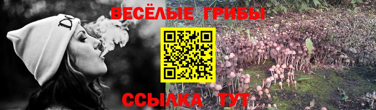 Галлюциногенные грибы Magic Shrooms Горно-Алтайск